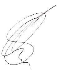 autografe!!!!! - yvonnaTH - :^Tokio Hotel^: